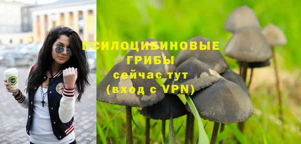 ALPHA-PVP Коряжма