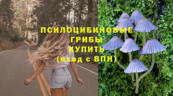 a pvp Костерёво