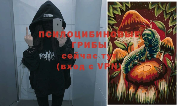 ALPHA-PVP Коряжма