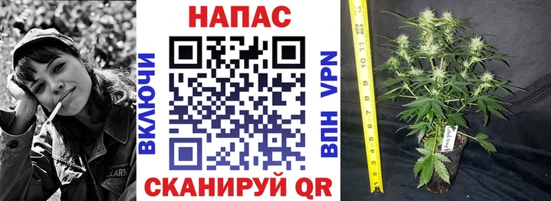 магазин  наркотиков  Волгоград  Каннабис марихуана 