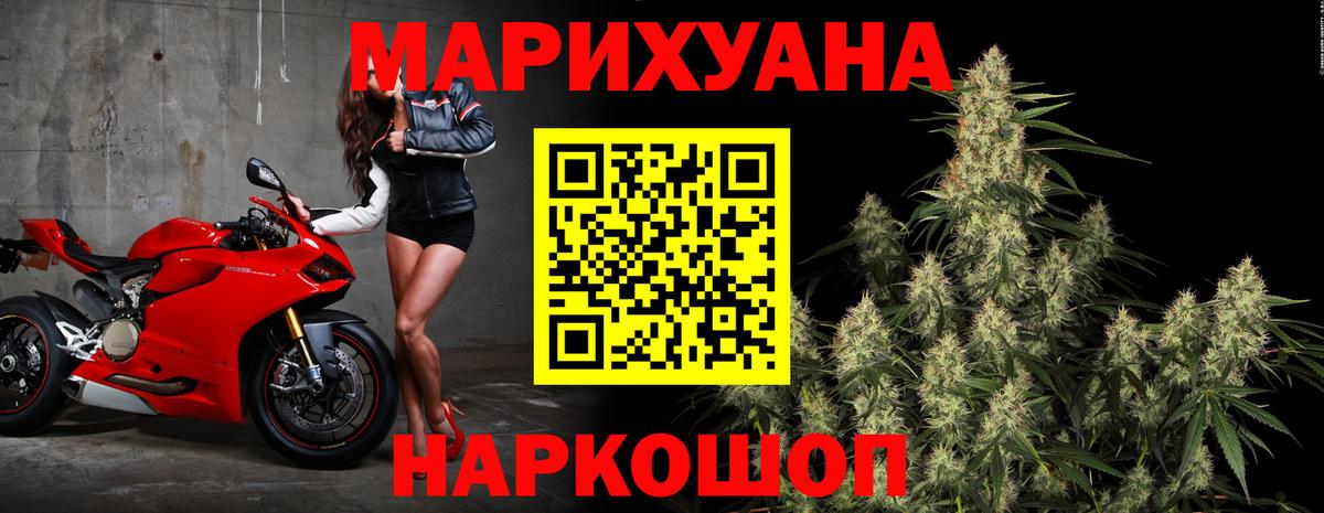 Конопля план Волгоград